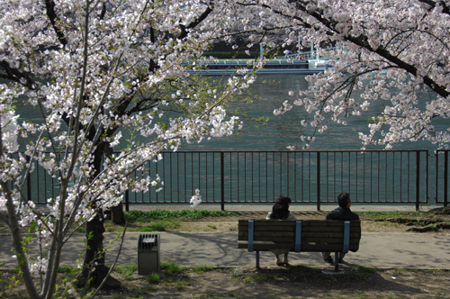 天満橋1.png