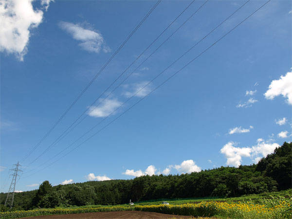 E510_085.jpg