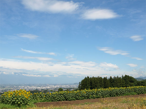 E510_086.jpg