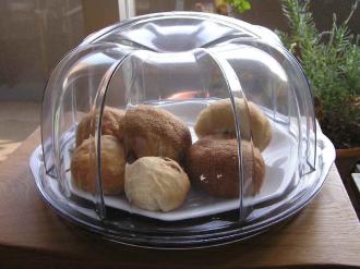 プラスチックのケーキドーム ｑｕｉｌｔ キルト ときどきご飯 楽天ブログ