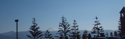 フルーツパークからの富士山
