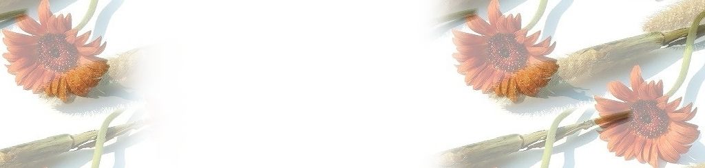   いちご   いちえ