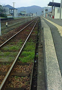 やまもと