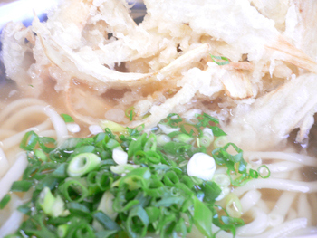 ごぼ天うどん