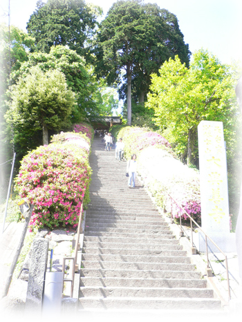つつじ寺1