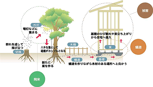 hg_decay01_illust01.gif