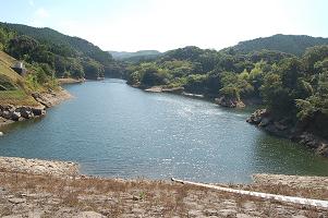 dam02.jpg