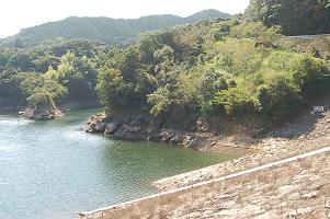 dam03.jpg