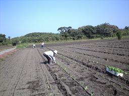 takanaue02.jpg