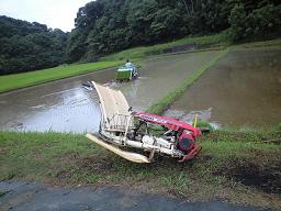 taue02.jpg
