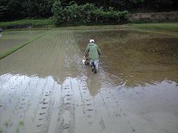 taue03.jpg
