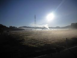 一面の霜です。