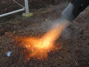 ba-na-yaki01.jpg