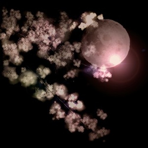 桜と月夜