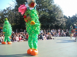 サボテン