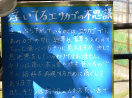 えさの説明