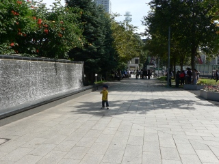 s-P1020407.jpg
