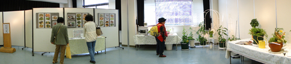 DSC07485.jpg