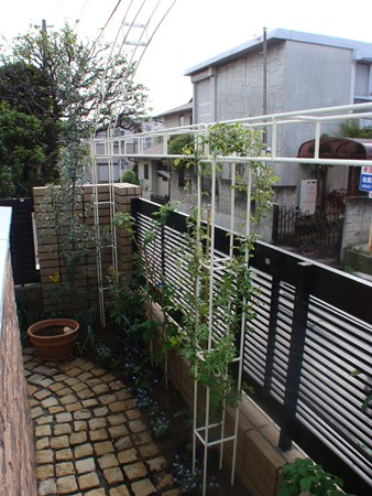 DSC02721.JPG