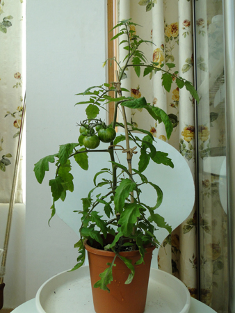 DSC07446.jpg