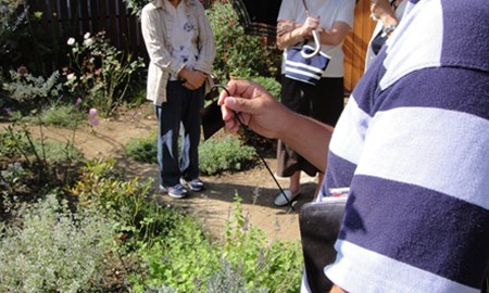DSC01415.JPG