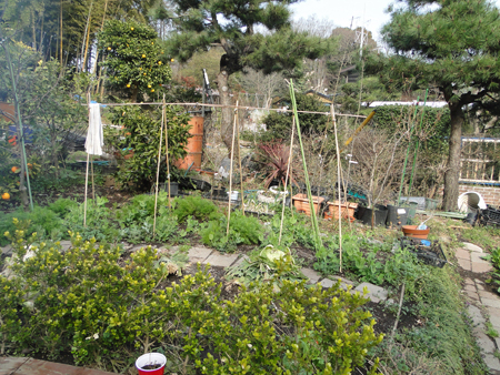 DSC07291.jpg