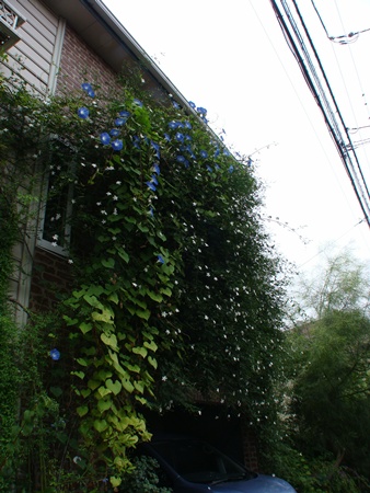 DSC05683.JPG