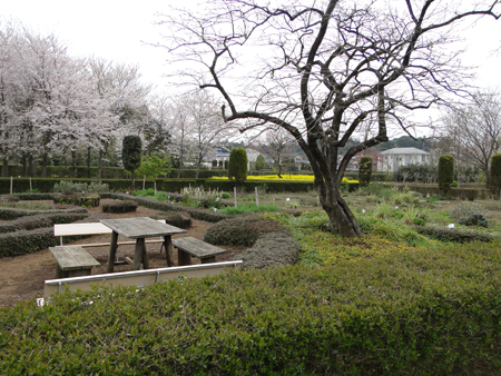 DSC07635.jpg