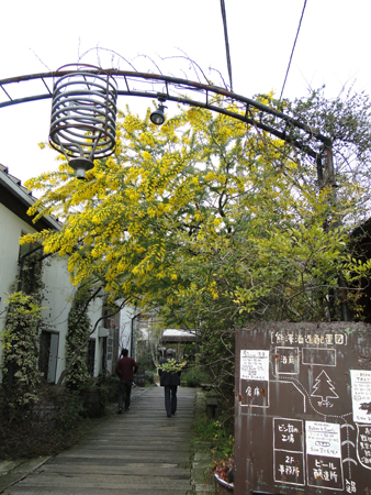 DSC07302.jpg