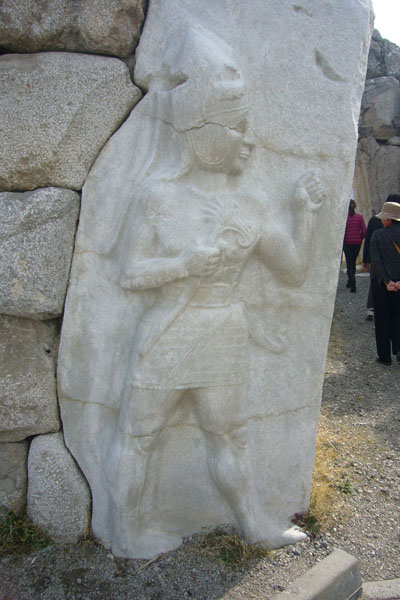 11066.jpg