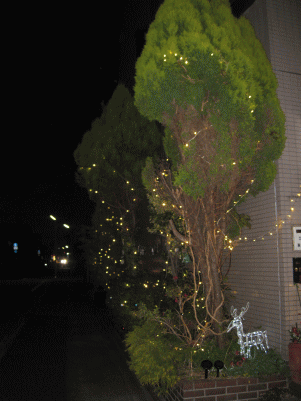 12-13-2.gif