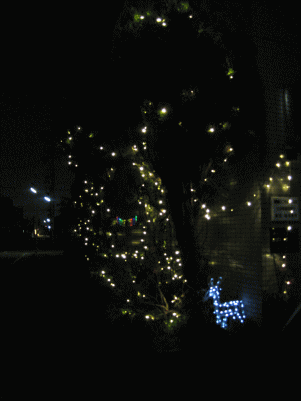 12-13-3.gif