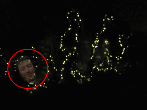 12-13-1.gif