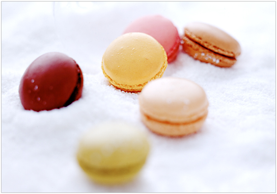 macarons_05.jpg