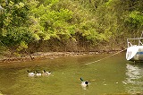 DSC00414.jpg
