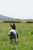 DSC00536.jpg