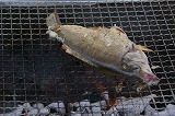 DSC00426.jpg