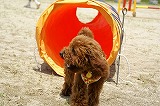 DSC00552.jpg