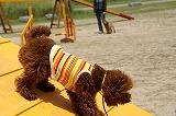 DSC00559.jpg