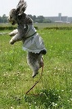 DSC00538.jpg
