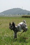 DSC00535.jpg