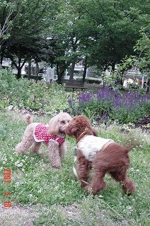 DSC01132.jpg