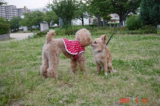 DSC01120.jpg
