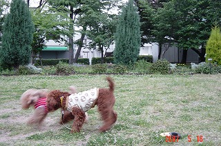 DSC01127.jpg