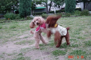 DSC01124.jpg