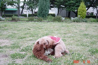 DSC01126.jpg