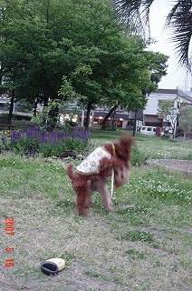 DSC01130.jpg