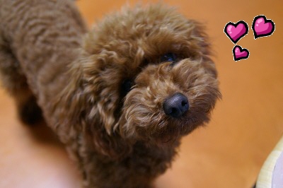 写真00149.jpg