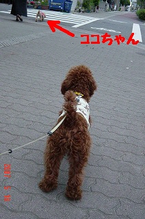 写真00014.jpg