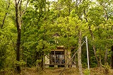 DSC00404.jpg
